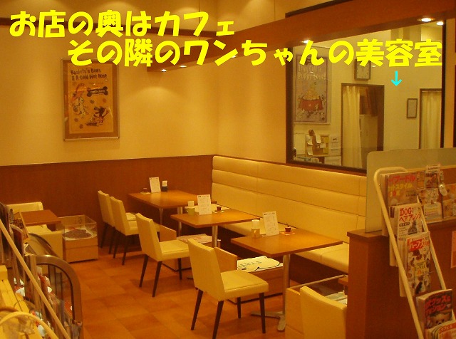 img20080630_4.jpg