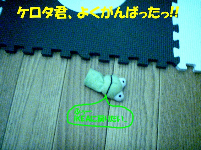img20080713_7.jpg