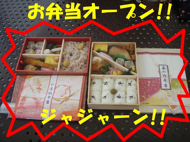 img20080630_3.jpg