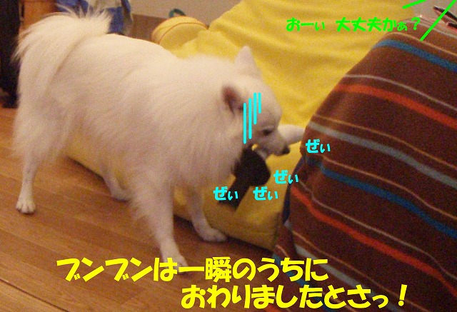 img20091108_2.jpg