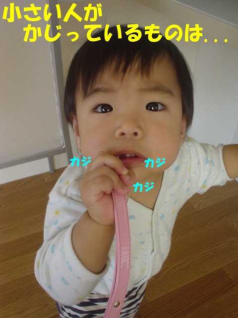 img20080331.jpg