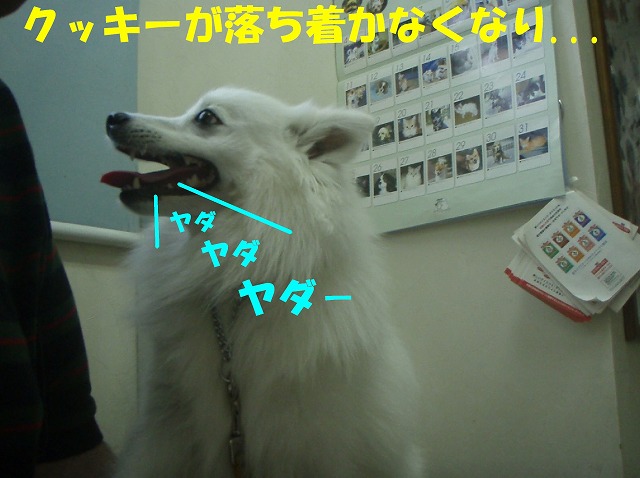 img20080527_3.jpg