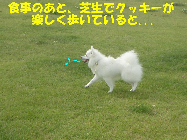 img20080630_5.jpg