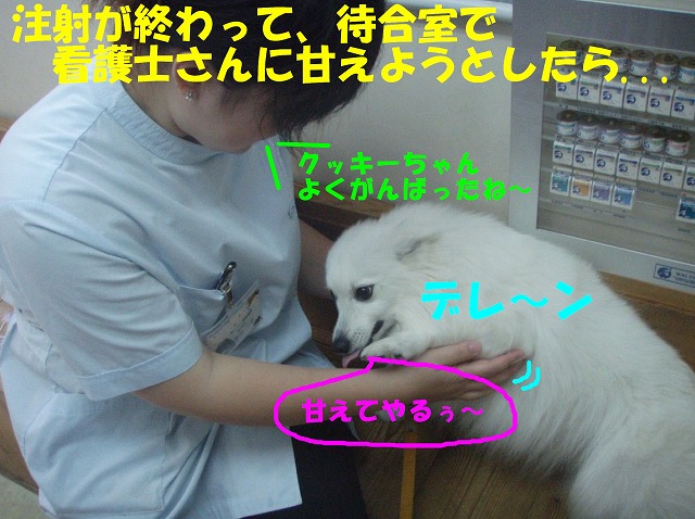 img20080527_8.jpg