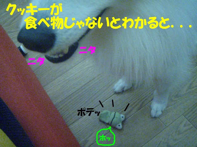 img20080713_6.jpg