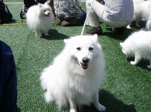 img20080508_6.jpg