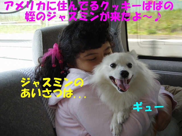 img20080508_1.jpg