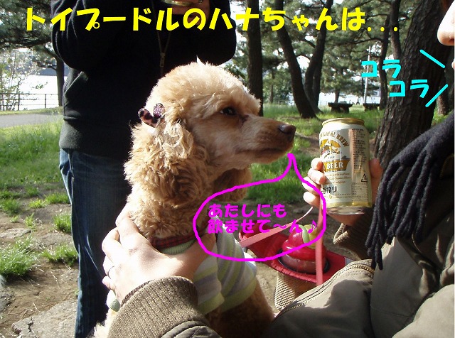 img20080508_3.jpg