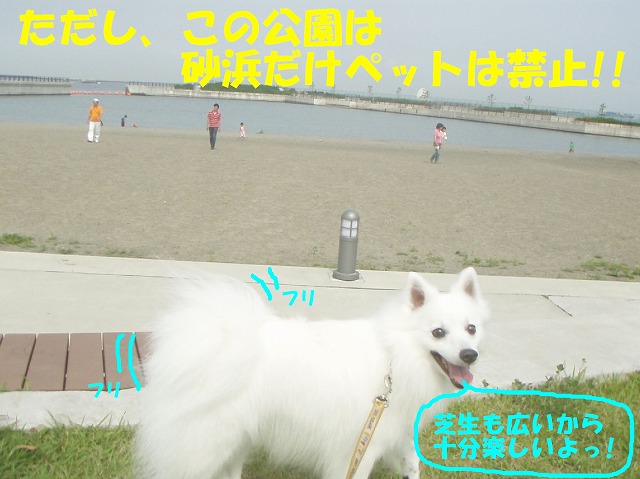 img20080630.jpg
