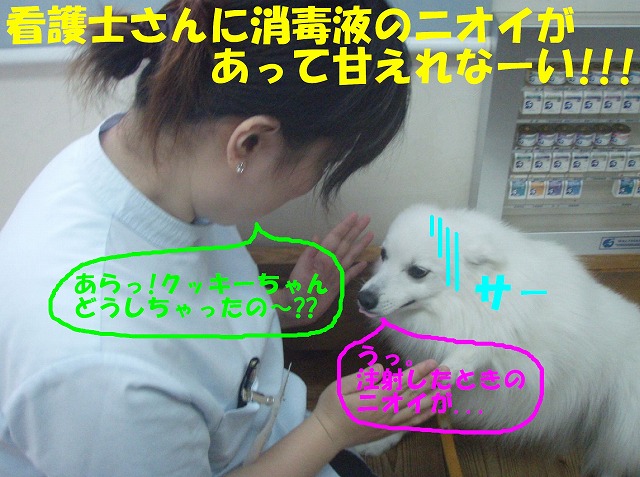 img20080527_9.jpg