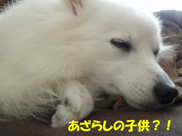 img20091108_9.jpg