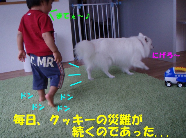 img20080512_7.jpg