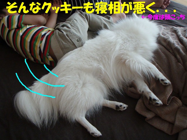 img20091108_7.jpg