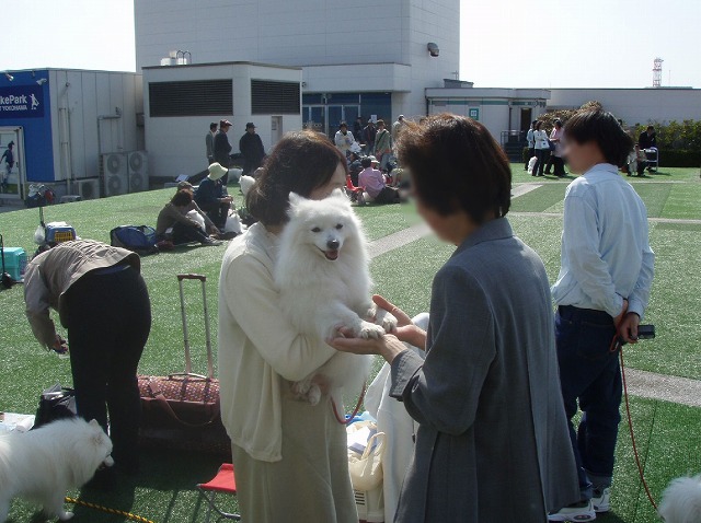 img20080508_7.jpg