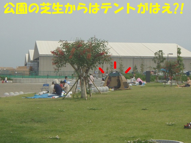 img20080630_5.jpg