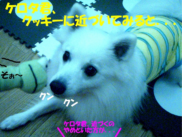 img20080713_3.jpg
