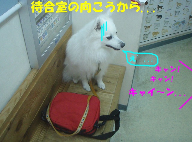 img20080527_2.jpg
