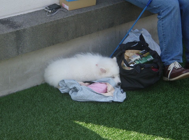 img20080508_1.jpg