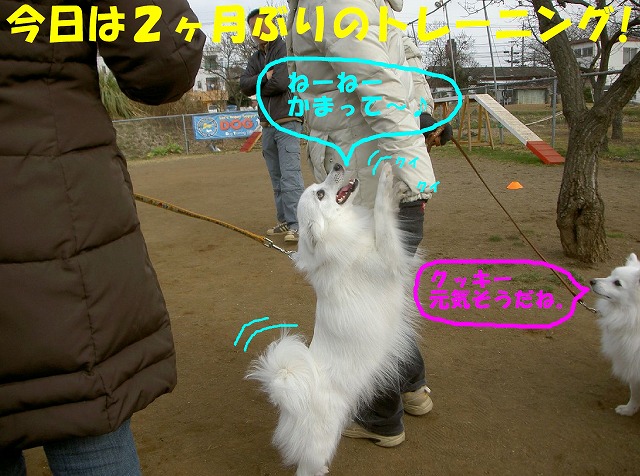 img20080206.jpg