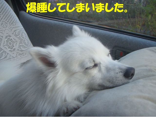 img20091201_1.jpg