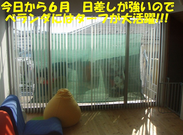 img20080601.jpg
