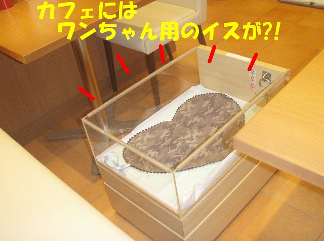 img20080630_6.jpg