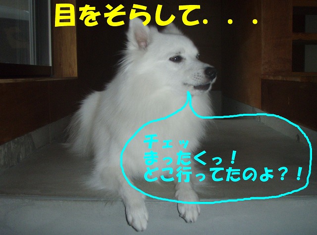 img20090724_2.jpg