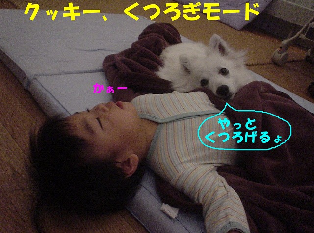 img20080316_1.jpg