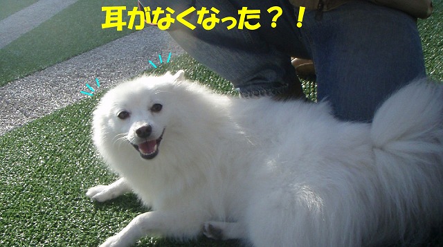 img20091108_7.jpg