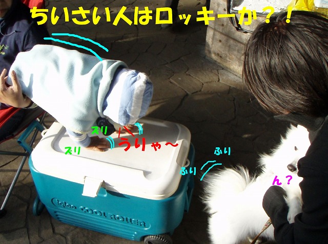 img20080508_7.jpg