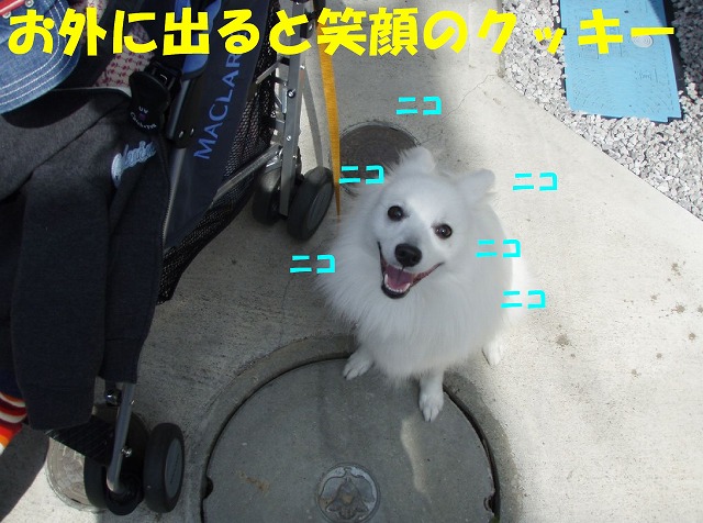 img20080401.jpg