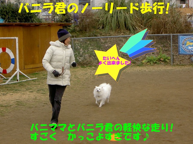 img20080206_5.jpg