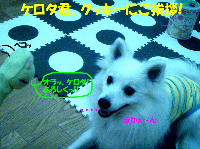img20080713_1.jpg