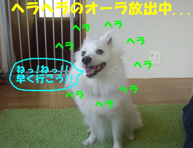 img20080316_2.jpg