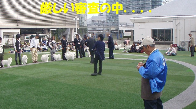 img20091108_2.jpg