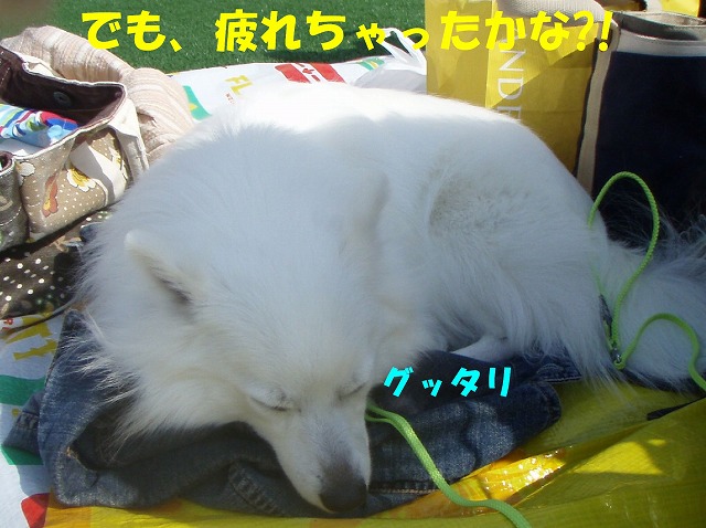 img20080508_7.jpg