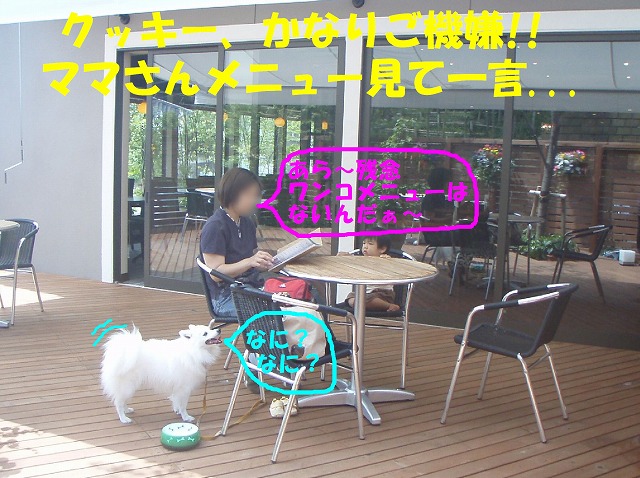 img20080527_4.jpg
