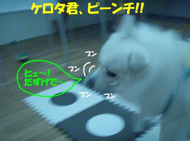 img20080713_5.jpg