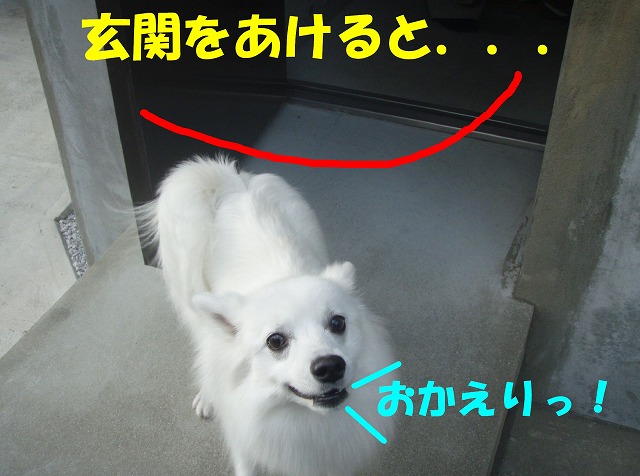 img20090724.jpg