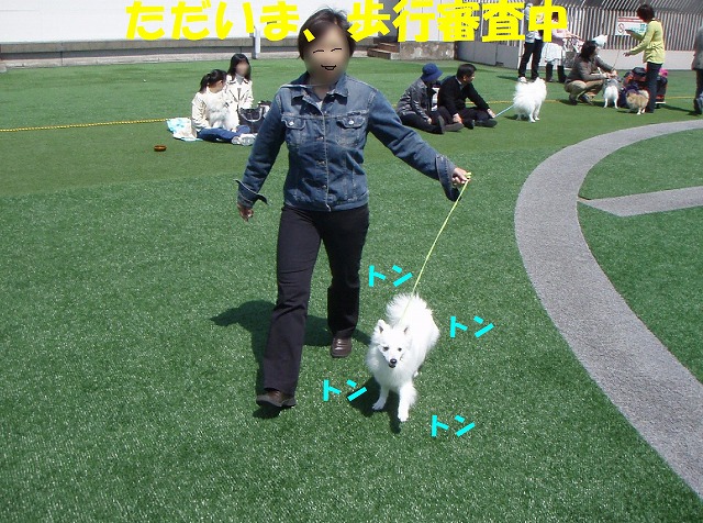img20080508_3.jpg