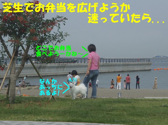 img20080630_1.jpg