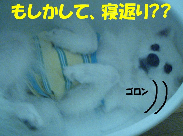 img20080713_6.jpg