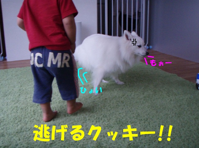 img20080512_6.jpg