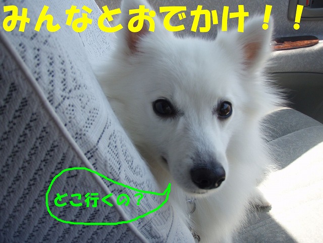 img20090801_2.jpg