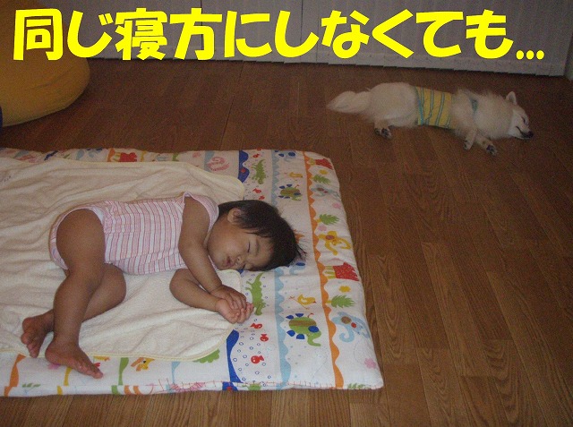 img20080713.jpg