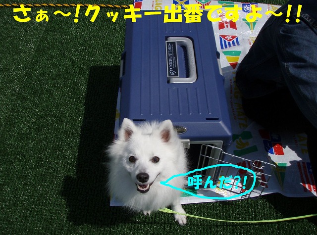 img20080508_2.jpg