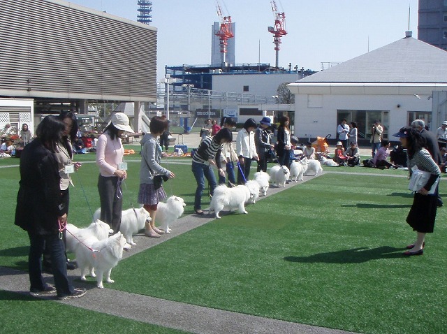 img20080508_5.jpg
