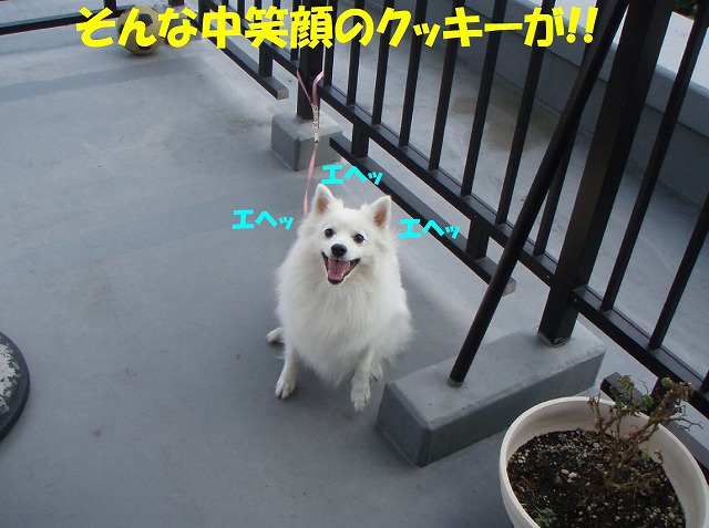 img20091201_3.jpg