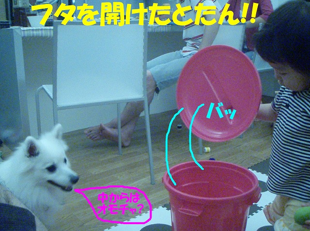 img20080713_1.jpg