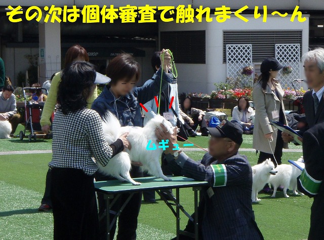 img20080508_4.jpg